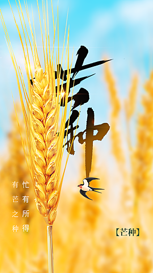芒种节气传统海报