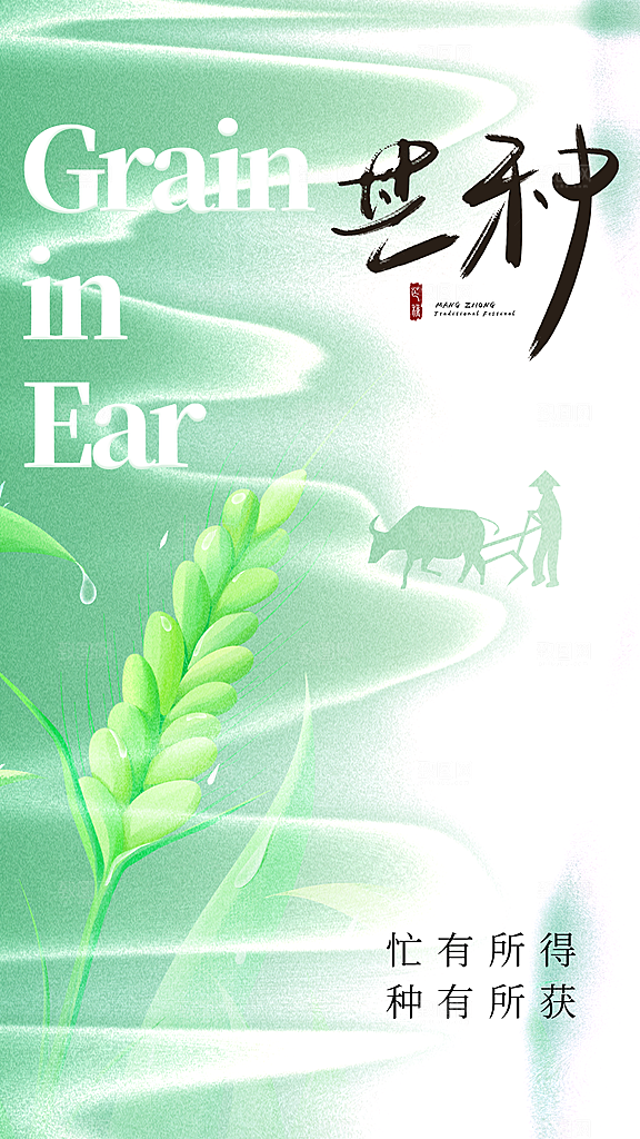 芒种节气传统海报