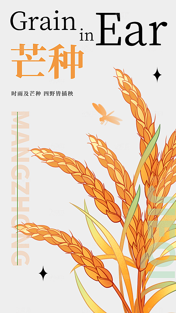 芒种节气传统海报