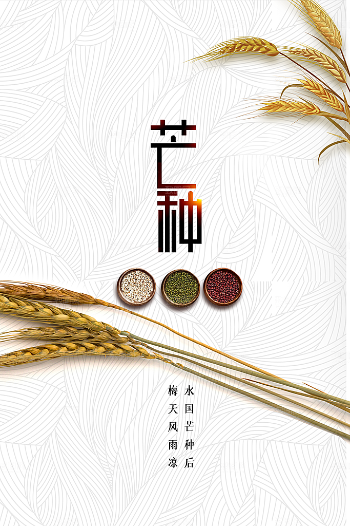 芒种节气传统活动海报