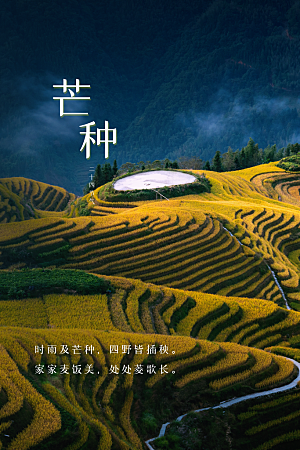 芒种节气传统活动海报