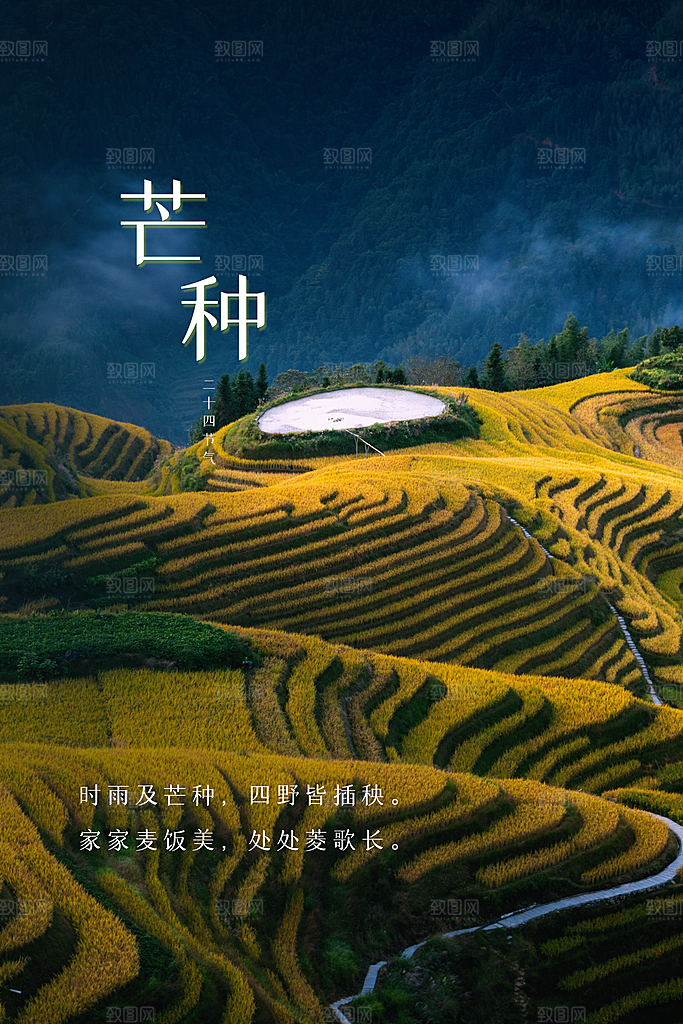 芒种节气传统活动海报