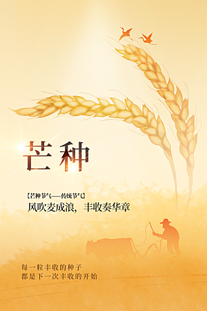 芒种节气传统活动海报