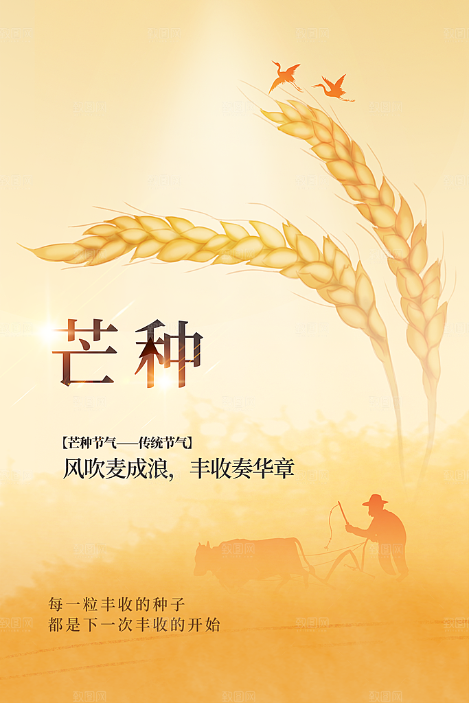 芒种节气传统活动海报