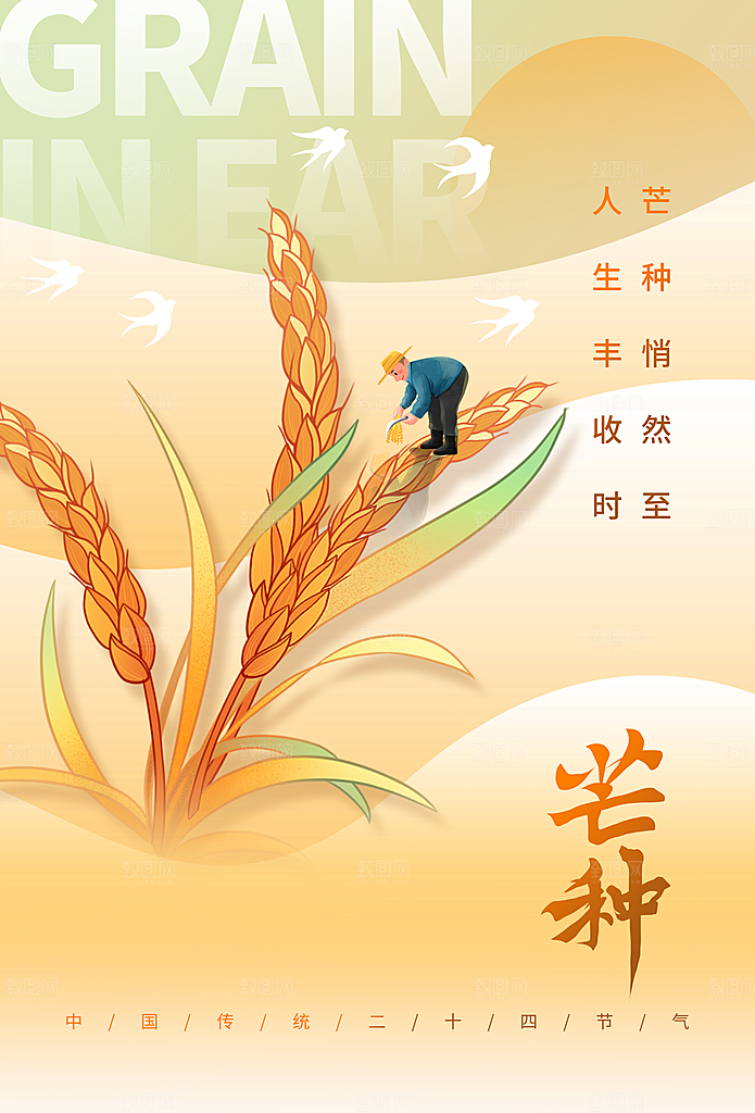 芒种节气传统海报