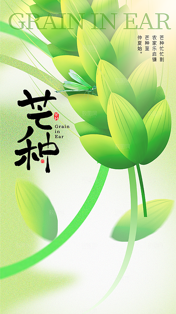 芒种节气传统海报