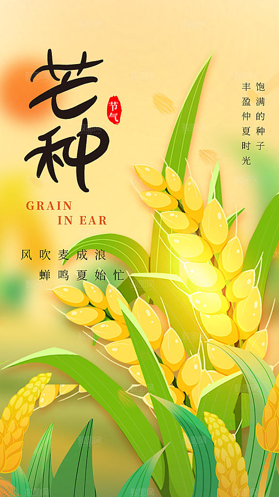 芒种节气传统海报