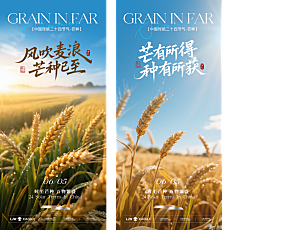简约大气芒种节气宣传海报