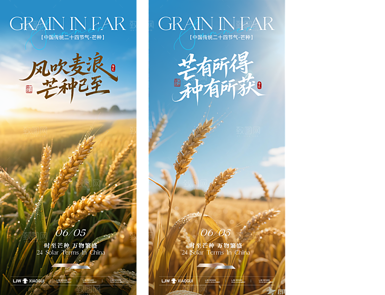 简约大气芒种节气宣传海报