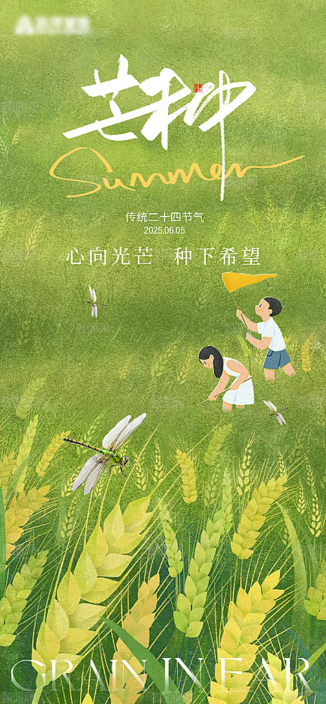 简约大气芒种节气宣传海报