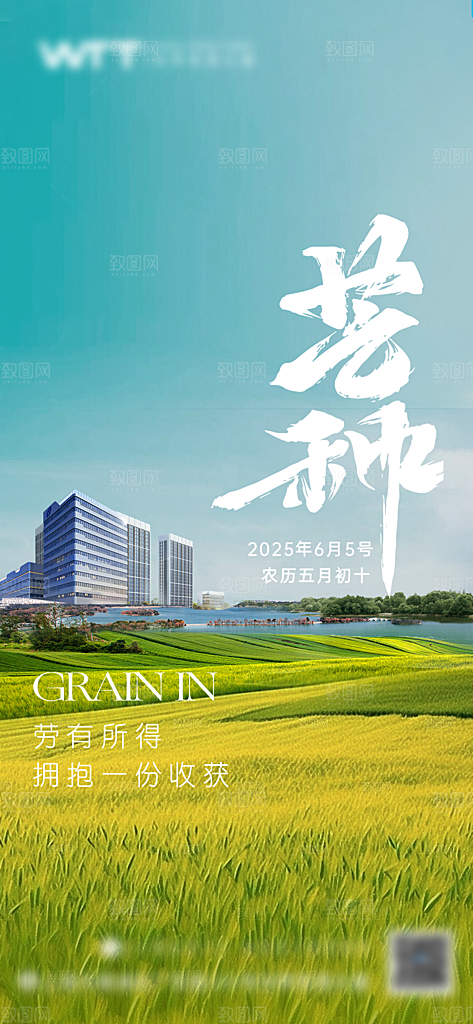 简约大气芒种节气海报