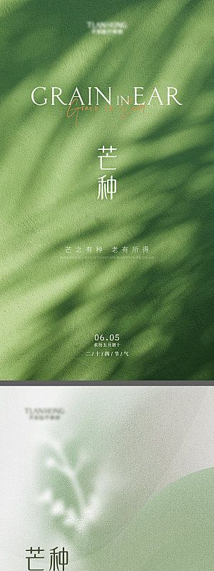 地产芒种节气系列宣传海报