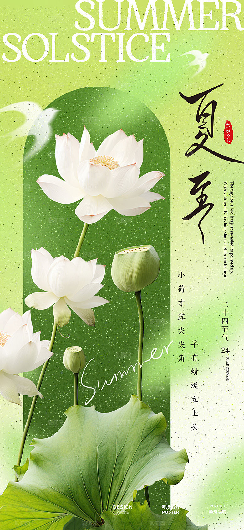 夏至荷花节气海报设计