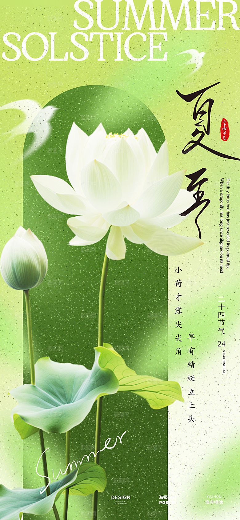 夏至荷花节气海报设计