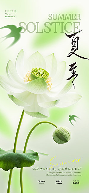 夏至荷花节气海报设计