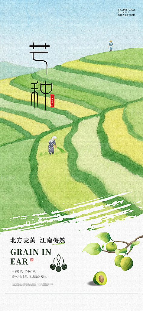 简约大气芒种节气海报模板