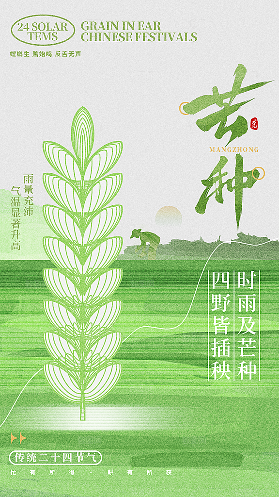 传统节气芒种宣传海报模板