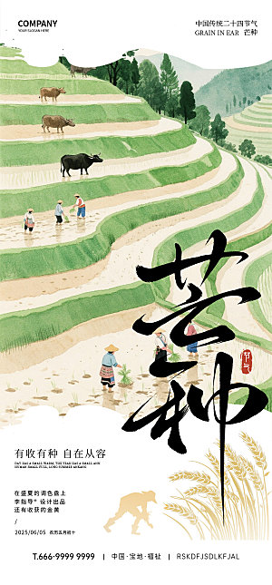 传统节气芒种宣传海报模板