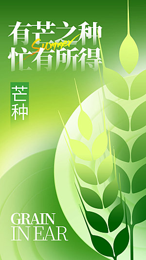 传统节气芒种宣传海报模板