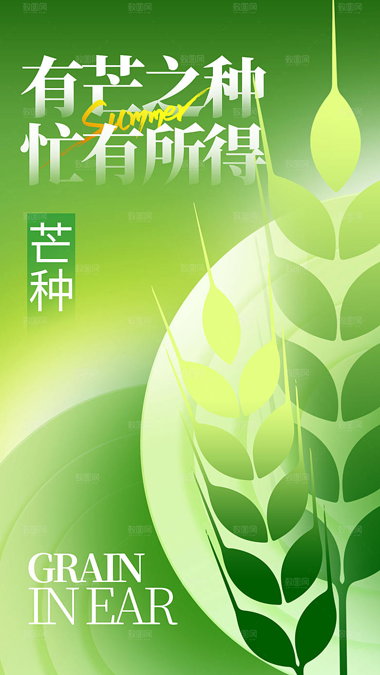 传统节气芒种宣传海报模板