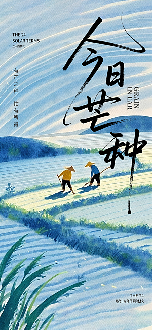 传统节气芒种宣传海报模板