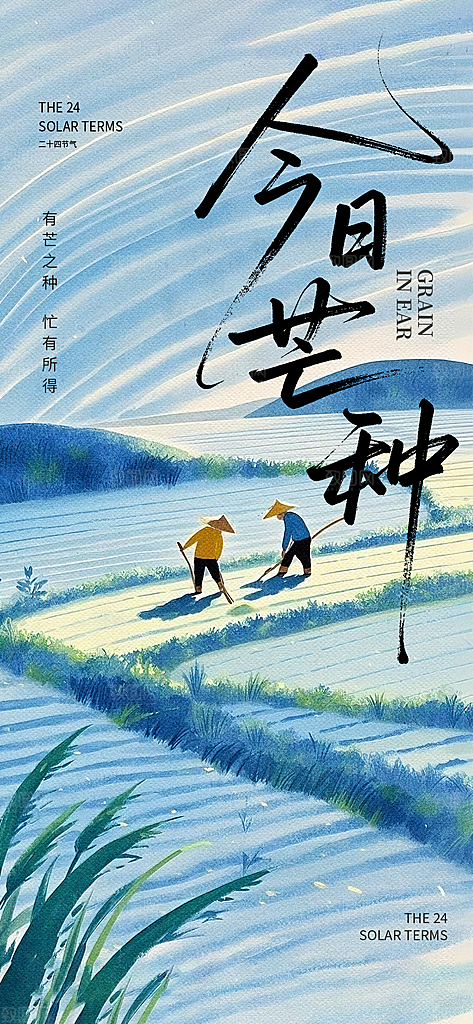 传统节气芒种宣传海报模板