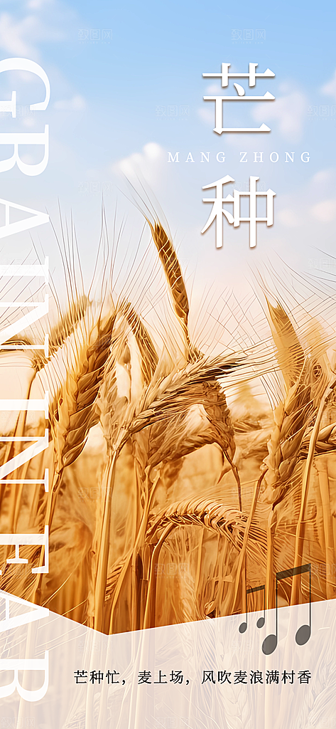 传统节气芒种宣传海报模板