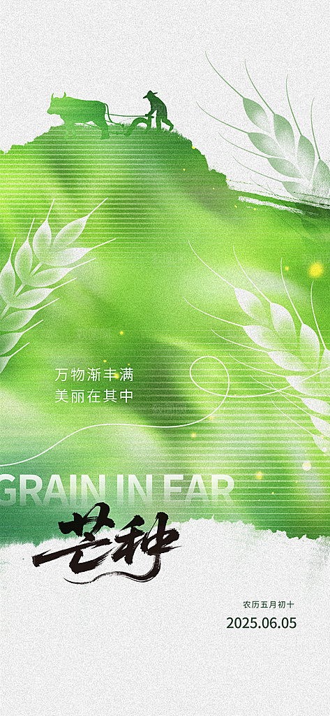 传统节气芒种宣传海报模板