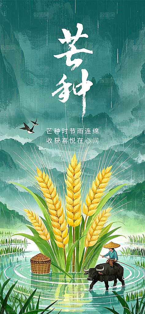 传统节气芒种宣传海报模板