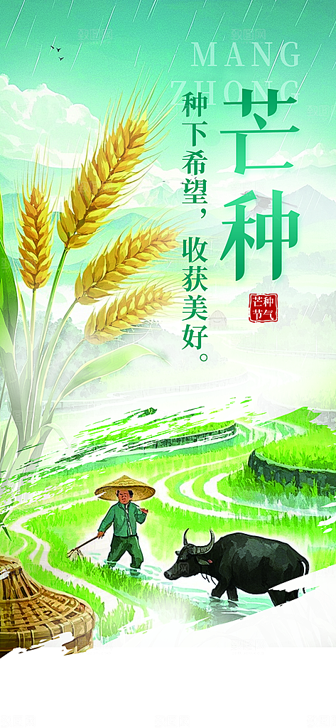 简约大气芒种节气海报模板