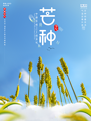 传统节气芒种宣传海报模板
