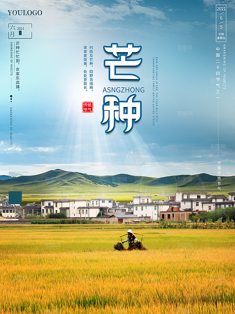 传统节气芒种宣传海报模板