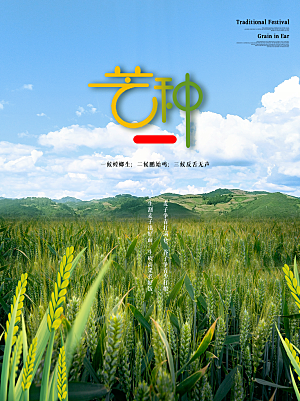 传统节气芒种宣传海报模板
