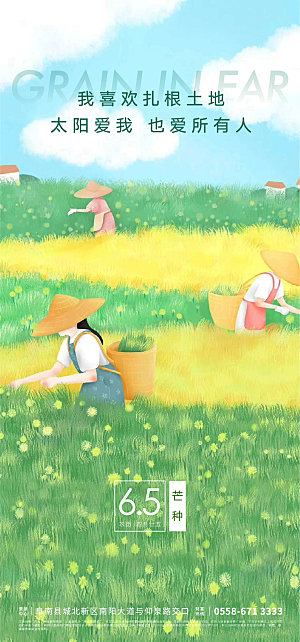 简约大气芒种节气海报模板