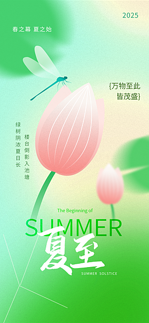 简约大气夏至节气宣传海报
