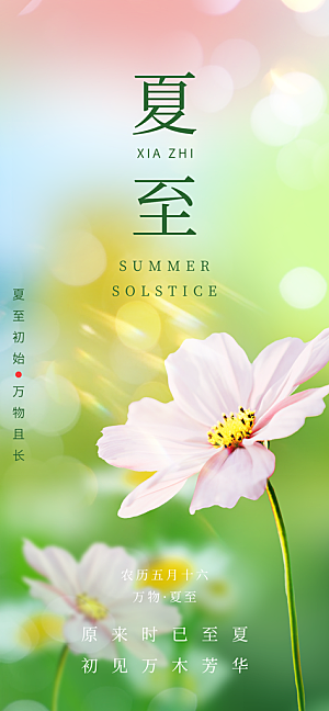 简约大气夏至节气宣传海报