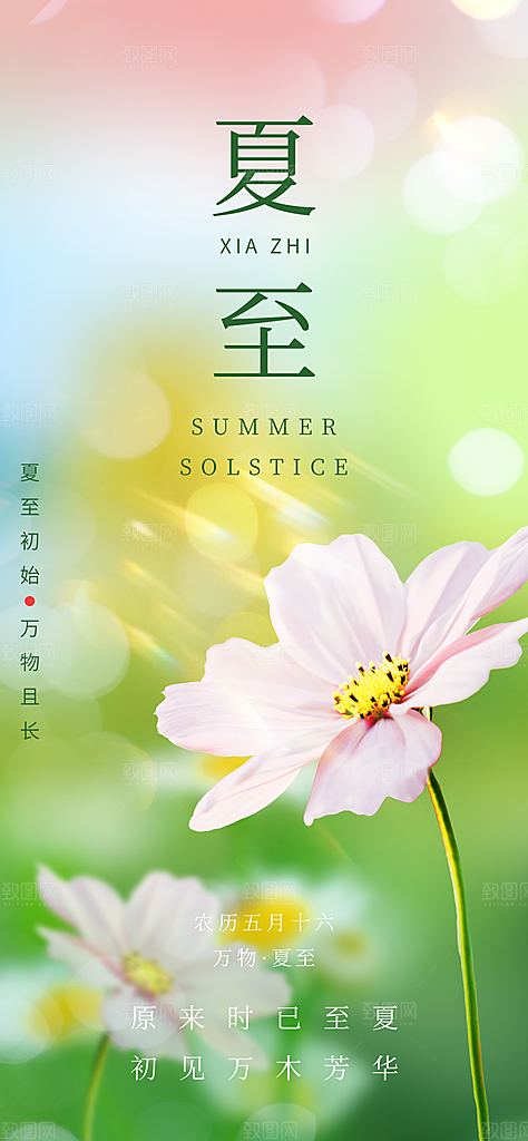 简约大气夏至节气宣传海报