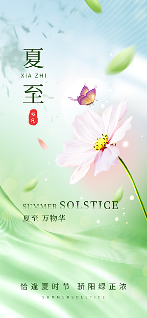 简约大气夏至节气宣传海报