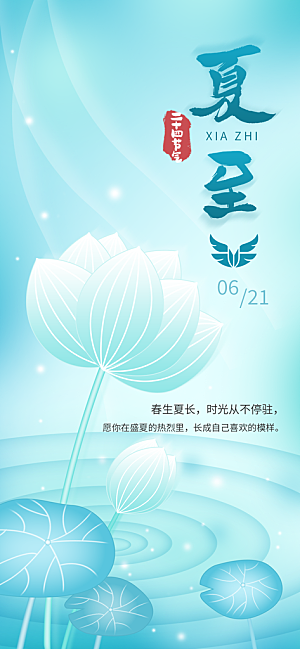 简约大气夏至节气宣传海报