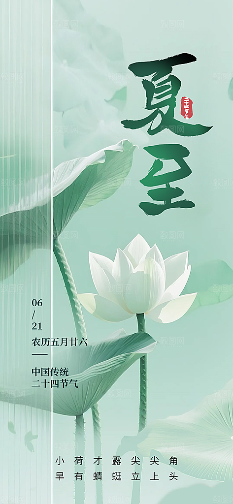 简约大气夏至节气宣传海报
