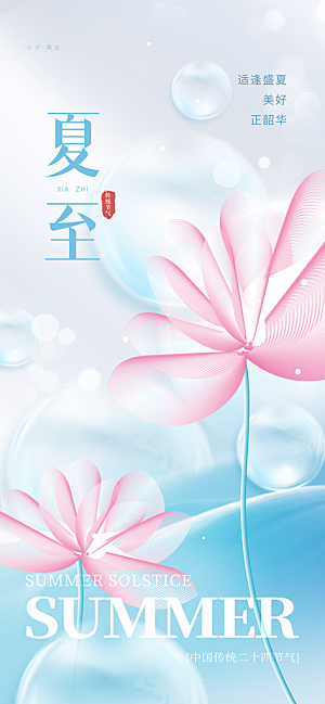 简约大气夏至节气宣传海报