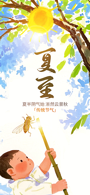 简约大气夏至节气宣传海报