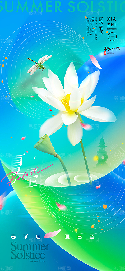 简约大气夏至节气宣传海报