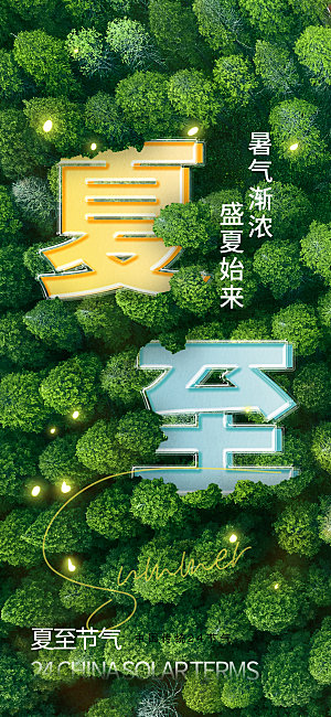 简约大气夏至节气宣传海报