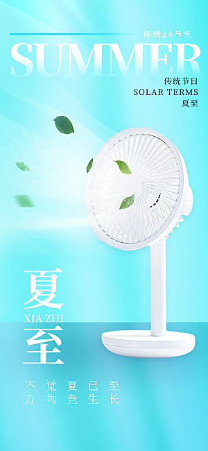 简约大气夏至节气宣传海报