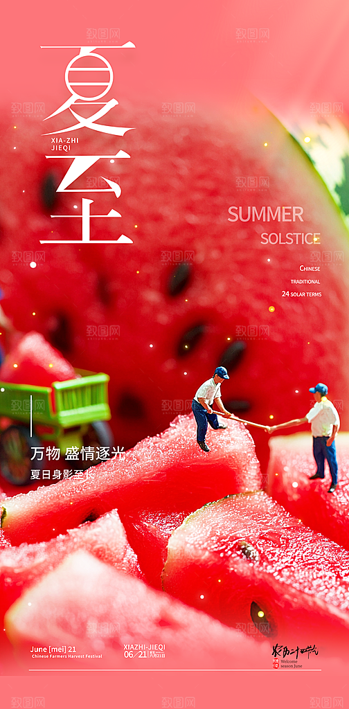 简约大气夏至节气宣传海报模板