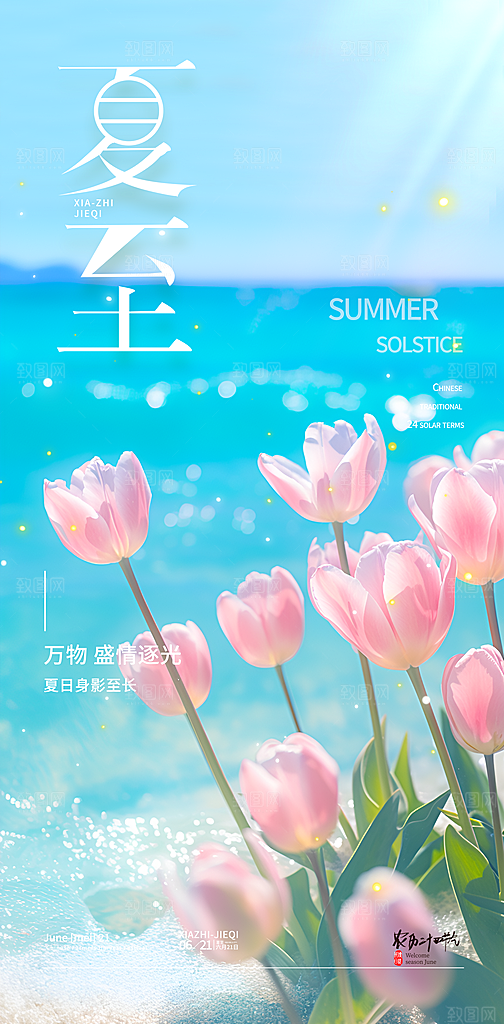 简约大气夏至节气宣传海报模板