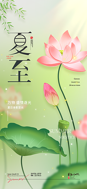夏至海报夏天荷花海报