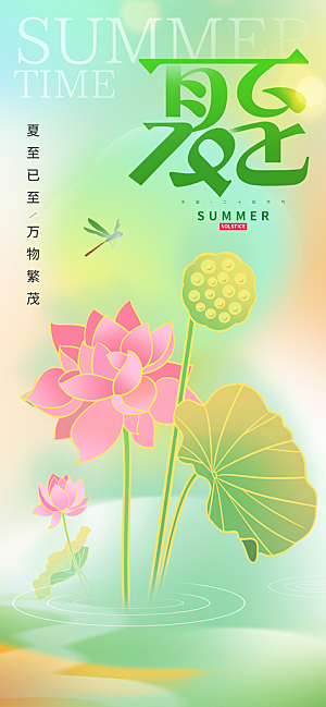 小清新夏至海报荷花夏天海报