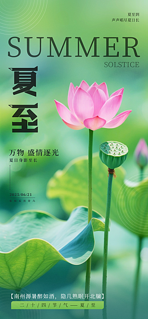 小清新夏至海报荷花夏天海报